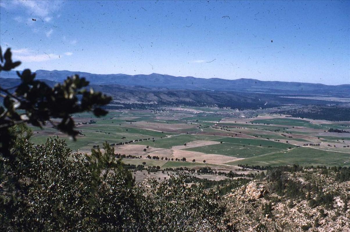Le Telagh 01.jpg